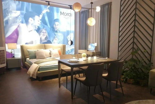 愛依瑞斯莫拉 詮釋藝術(shù)之魅，引領(lǐng)軟體家具新風(fēng)尚